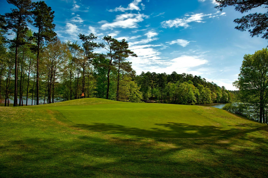 Spring Green-Up For Lawns, Sports Fields, And Landscapes: Fertility That Respects The Soil