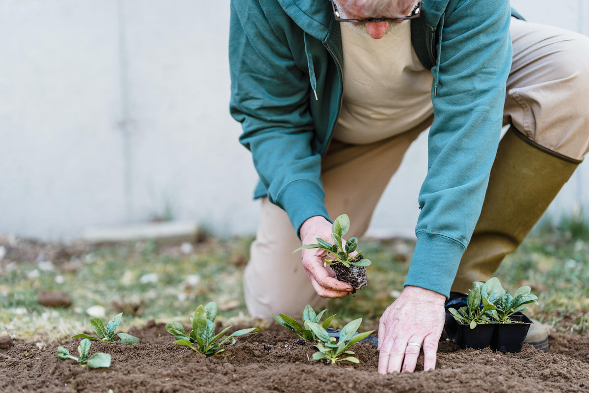 Understanding NPK Fertilizers
