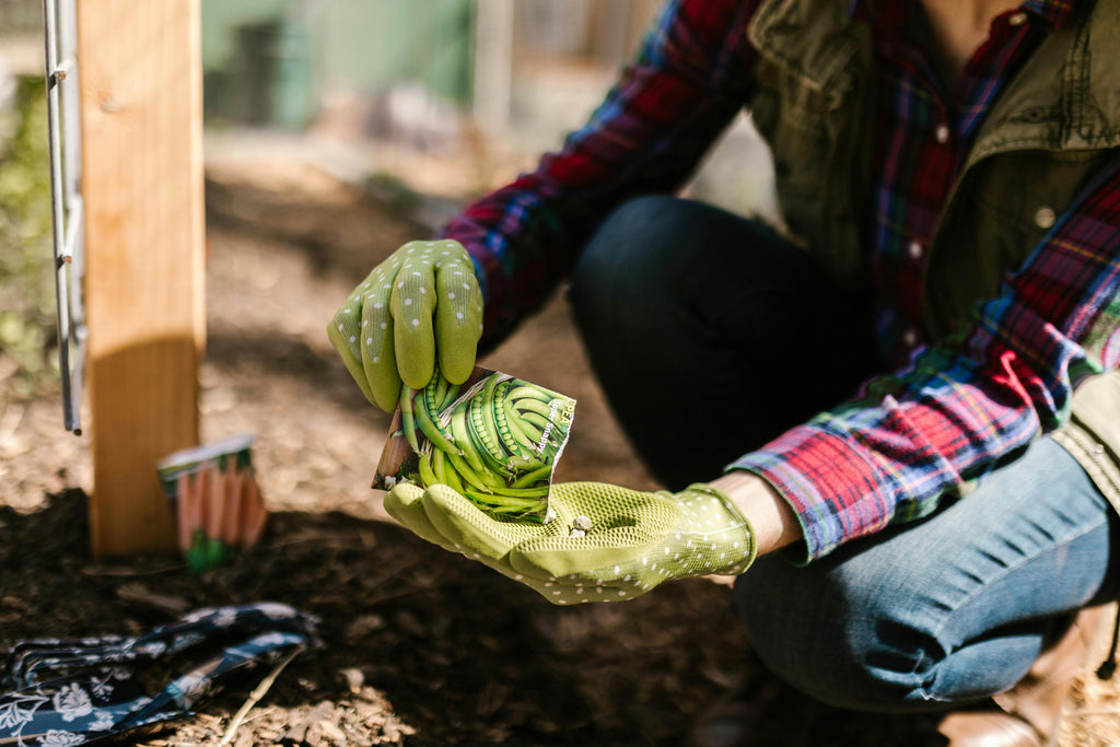 The Role of Micronutrients in Fertilizer Efficiency