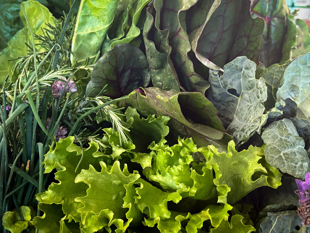What to Review Before Moving from Spring Feeding to Summer Management