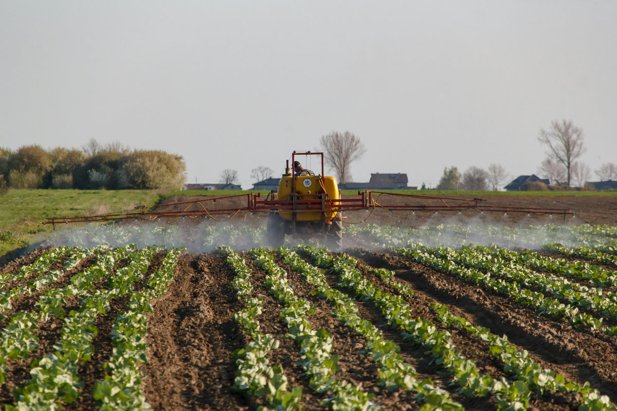 The Right Way to Apply Complete Fertilizer (14-14-14) at Planting
