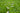 Fertilizing Your Lawn for Spring