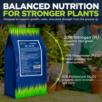 Supply Solutions NitroPlus 20-10-10 Fertilizer for Lawns and Gardens, All Purpose Lawn Fertilizer and Garden Fertilizer, Outdoor Plant Food with Nitrogen Phosphate and Potash Blend 5Lbs