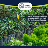 Supply Solutions 12-6-6 Ornamental Booster Fertilizer - Plant Food Topdress on Foliage, Nurseries and Landscapes - Controlled Release NPK Plant Fertilizer with Macro and Micro Nutrients