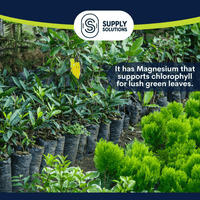 Supply Solutions 12-6-6 Ornamental Booster Fertilizer - Plant Food Topdress on Foliage, Nurseries and Landscapes - Controlled Release NPK Plant Fertilizer with Macro and Micro Nutrients