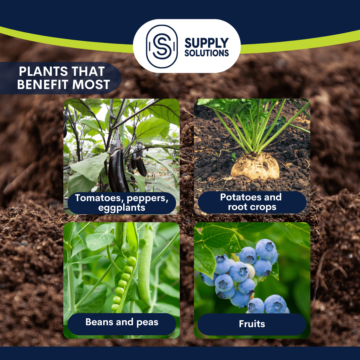 Supply Solutions Muriate of Potash 0-0-60 Fertilizer, High Potassium Fertilizer, Potassium for Plants - for Lush Crops, Acidic Plants