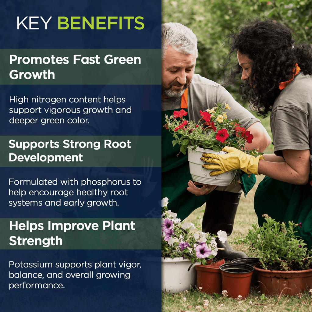 Nitroplus 20-10-10 NitroPlus Fertilizer for Lawns and Gardens, All Purpose Lawn ...