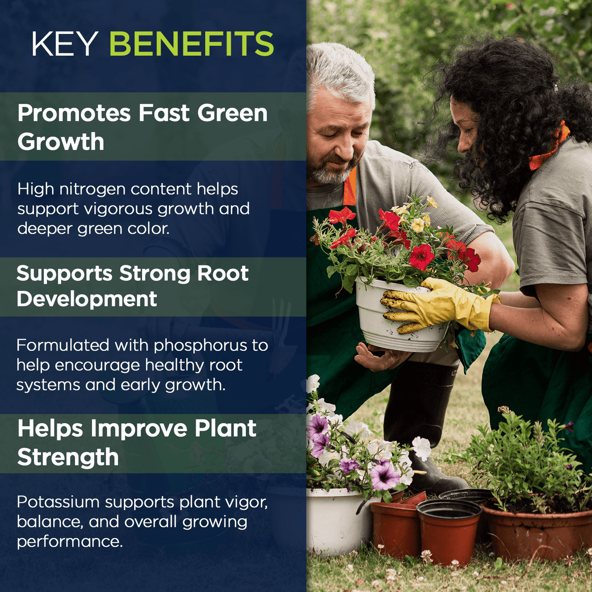 20-10-10 NitroPlus Fertilizer for Lawns and Gardens, All Purpose Lawn Fertilizer and Garden Fertilizer, Outdoor Plant Food with Nitrogen Phosphate and Potash Blend