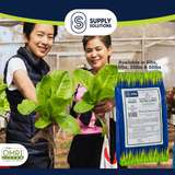 Supply Solutions Sulfate of Potash 0-0-50 - Sulfate of Potash Plant Fertilizer for Flowers, Lawn, Fruits