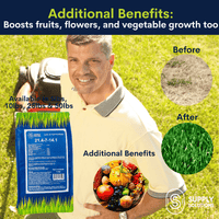 Supply Solutions 21.4-7-14.1 Lawn and Turf Fertilizer with Iron - Plant Food for Lawn Achieves a Lush Green Lawn in Weeks - Turf Builder for All Grass Types