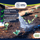 Supply Solutions Premium 97 Solution Grade Gypsum - Fast Acting Gypsum for Soil - Organic Calcium Sulfate Dihydrate - Soil Acidifier Gypsum Powder for Root Growth, Lawns, Mushroom Cultivation