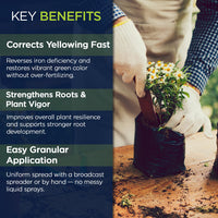 IronMaxx Granular Fertilizer - All Purpose Plant Food with Iron and Sulfur, Slow Release Garden Fertilizer for Lawn, Vegetables, Flowers & Trees, Outdoor Plant Fertilizer