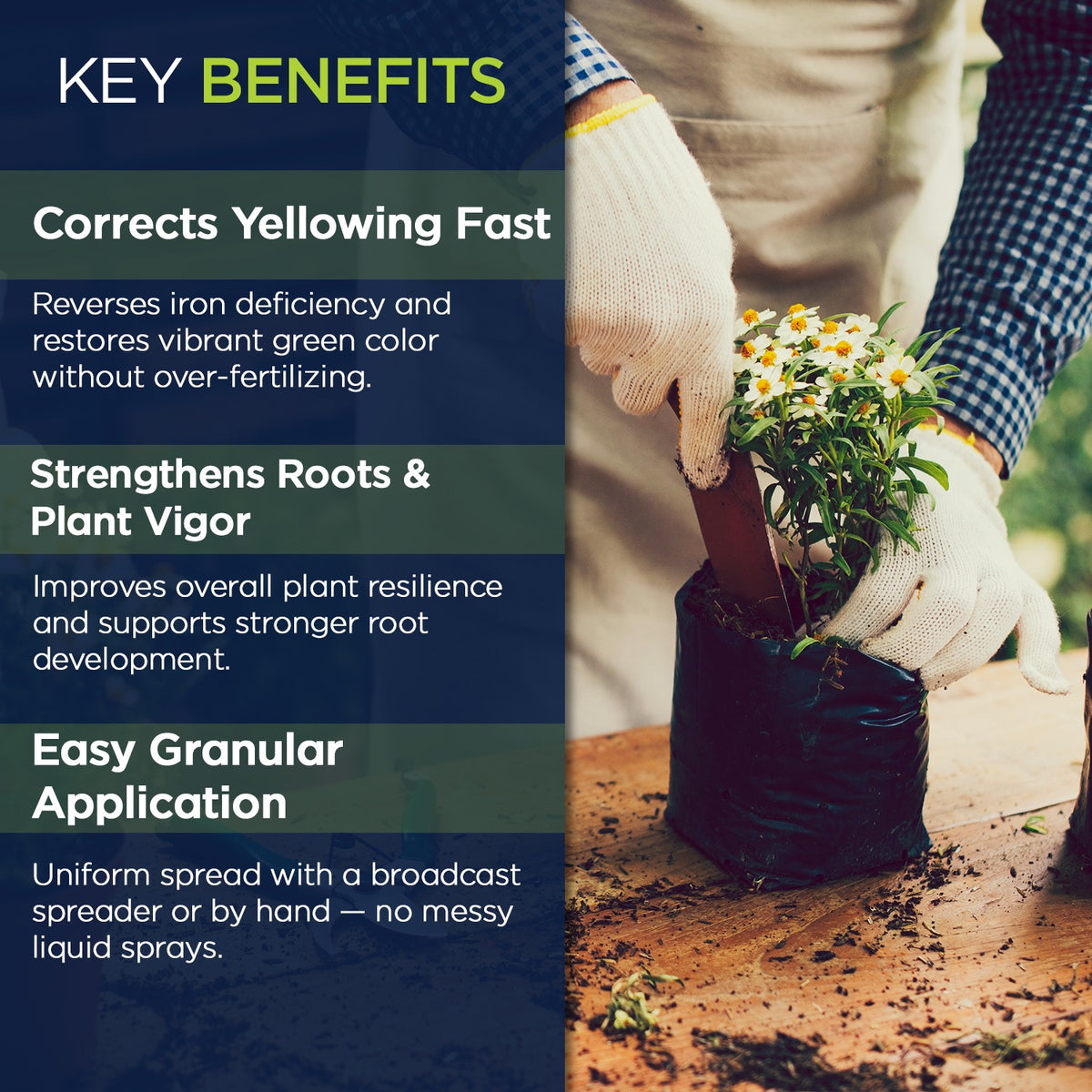 IronMaxx Granular Fertilizer - All Purpose Plant Food with Iron and Sulfur, Slow Release Garden Fertilizer for Lawn, Vegetables, Flowers & Trees, Outdoor Plant Fertilizer