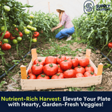 Supply Solutions 8-2-4 Nutri-Proganic Organic Granular Premium Fertilizer - Promotes Plant Growth, Flowering - Deters unwanted pests