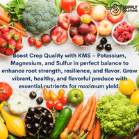 KMS 0-0-21.5 (Potassium Magnesium Sulfate) Fertilizer - The Best Plant Food for Low Magnesium Soils Prone to Nutrient Loss