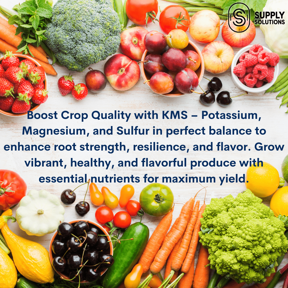 KMS 0-0-21.5 (Potassium Magnesium Sulfate) Fertilizer - The Best Plant Food for Low Magnesium Soils Prone to Nutrient Loss