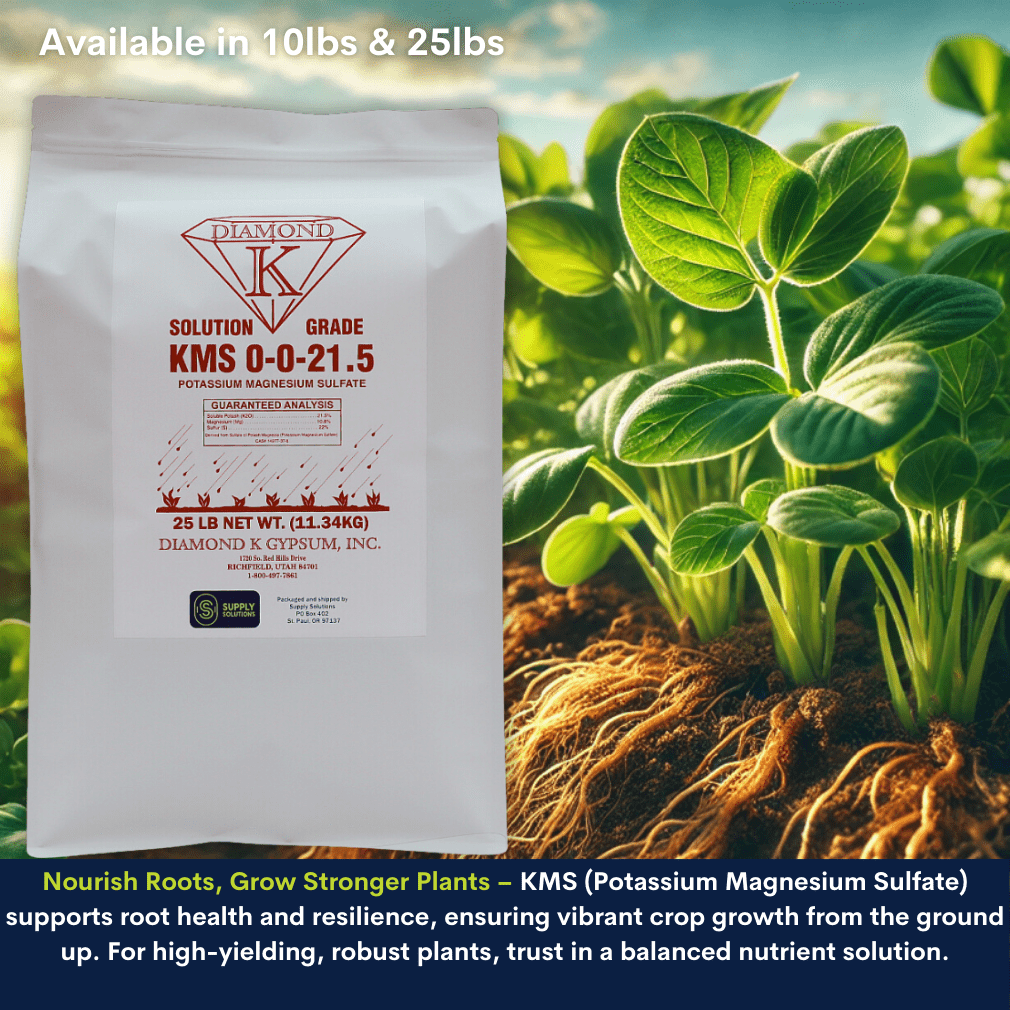 KMS 0-0-21.5 (Potassium Magnesium Sulfate) Fertilizer - The Best Plant Food for Low Magnesium Soils Prone to Nutrient Loss