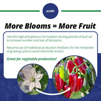 Jack's Professional 10-30-20 Blossom Booster Water-Soluble Fertilizer with Micronutrients for Increasing Blooms in Plants Grown in Continuous Liquid Feed Programs (25lbs)