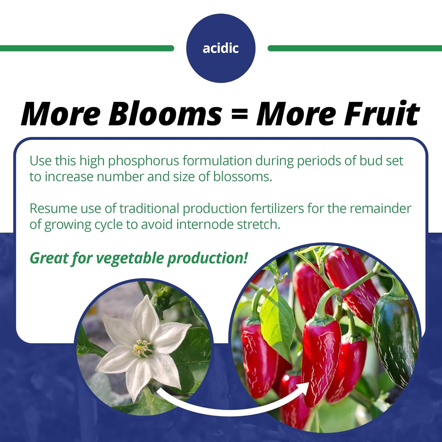 Jack's Professional 10-30-20 Blossom Booster Water-Soluble Fertilizer with Micronutrients for Increasing Blooms in Plants Grown in Continuous Liquid Feed Programs (25lbs)
