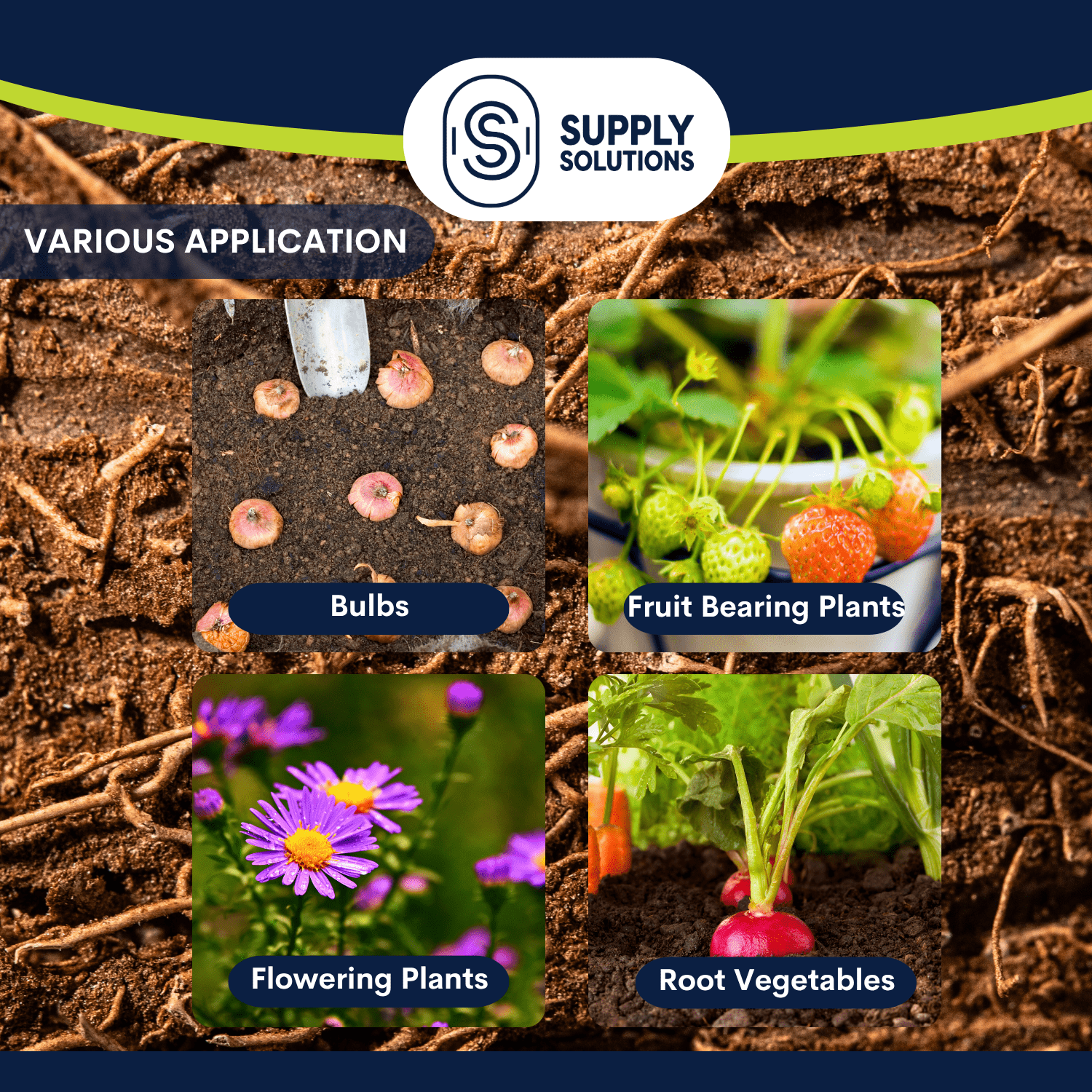 Supply Solutions Pacific Bounty Organic Fish Bone Meal Fertilizer 6-13-0 - Plus 14% Calcium for Plants Root Development- High Phosphorus Plant Food for Tomatoes, Flowers, Bulbs, Veggies – Non-GMO