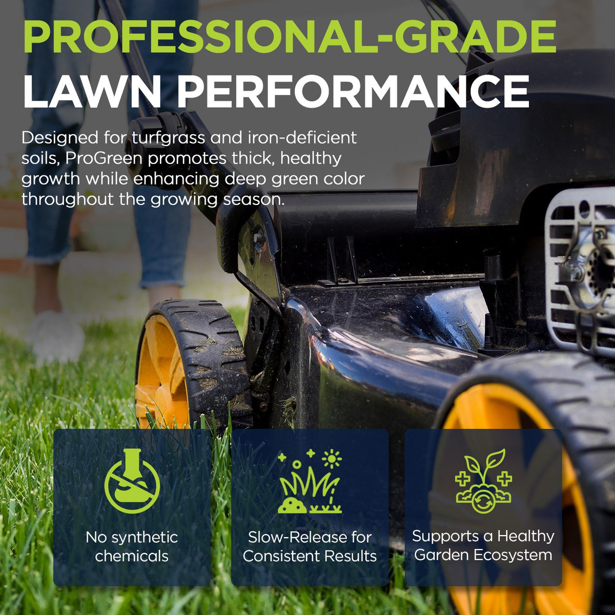 ProGreen 12-0-8 Plus 14% Iron Granular Lawn and Garden Fertilizer - Plant Food Support for Deep Green Color and Stronger Roots - Perfect Spring Boost for Lawns