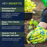10-20-20 Power Bloom Booster Fertilizer for Flowers and Plants, High Phosphorus NPK Fertilizer for Vegetable Garden