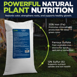 IronMaxx Granular Fertilizer - All Purpose Plant Food with Iron and Sulfur, Slow Release Garden Fertilizer for Lawn, Vegetables, Flowers & Trees, Outdoor Plant Fertilizer