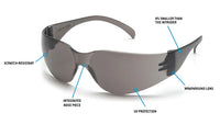 Mini Intruder® 12 Pack