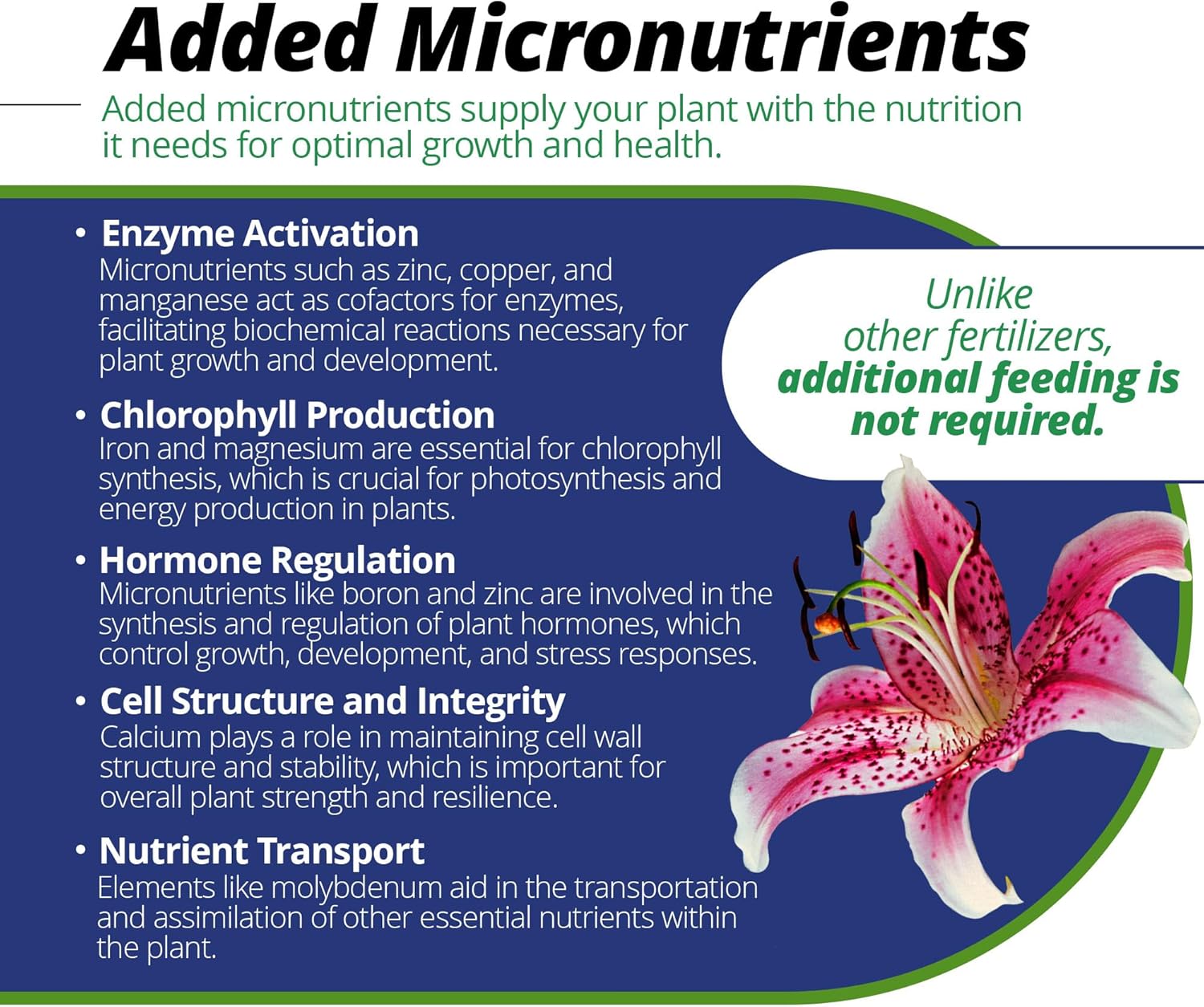 Jack's Classic 20-20-20 All Purpose Water-Soluble Fertilizer with Micronutrients to Provide General Growth on All Plants