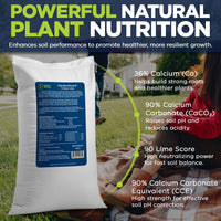 GardenGuard Prilled Lime for Lawns and Gardens - Agricultural Limestone for Soil pH Balance, Granular Lawn Lime for Grass and Plants