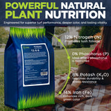 ProGreen 12-0-8 Plus 14% Iron Granular Lawn and Garden Fertilizer - Plant Food Support for Deep Green Color and Stronger Roots - Perfect Spring Boost for Lawns