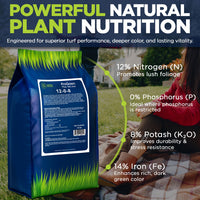 ProGreen 12-0-8 Plus 14% Iron Granular Lawn and Garden Fertilizer - Plant Food Support for Deep Green Color and Stronger Roots - Perfect Spring Boost for Lawns