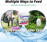 Jack's Classic 20-6-22 Petunia Feed Water-Soluble Fertilizer with Micronutrients to Provide Lush Green Annuals (4lbs)
