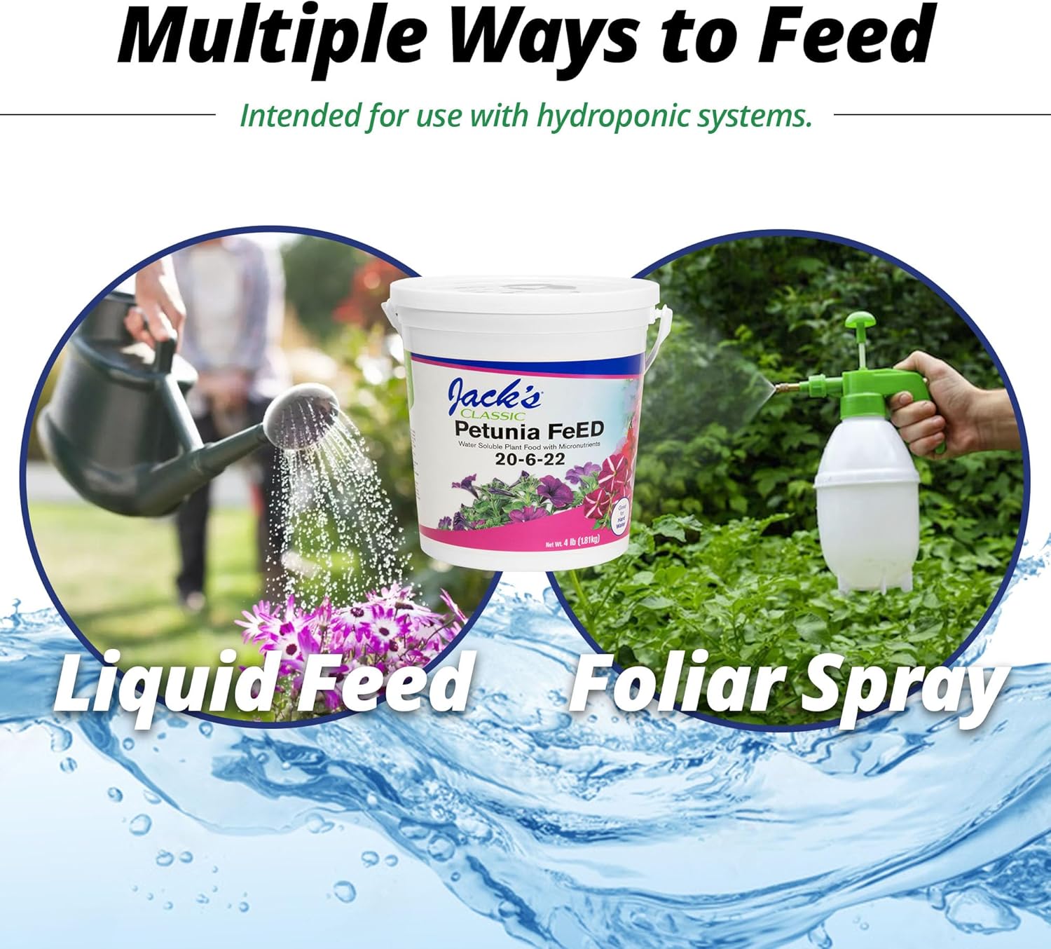 Jack's Classic 20-6-22 Petunia Feed Water-Soluble Fertilizer with Micronutrients to Provide Lush Green Annuals (4lbs)