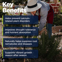 Supply Solutions Organic Crab Meal Fertilizer 4-2-0 | 18% Calcium | Natural Soil Amendment for Garden, Lawn, and Flower Beds | Improves Soil Health & Boosts Plant Growth