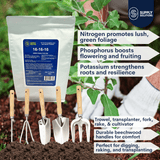 Supply Solutions 16-16-16 Complete Lawn & Garden All Purpose Granular Fertilizer - The Ultimate Plant Food for Lush Greenery - Bundle with Gardening Tools Perfect for Men and Women