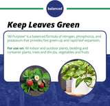 Jack's Classic 20-20-20 All Purpose Water-Soluble Fertilizer with Micronutrients to Provide General Growth on All Plants
