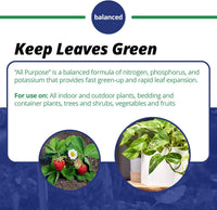 Jack's Classic 20-20-20 All Purpose Water-Soluble Fertilizer with Micronutrients to Provide General Growth on All Plants