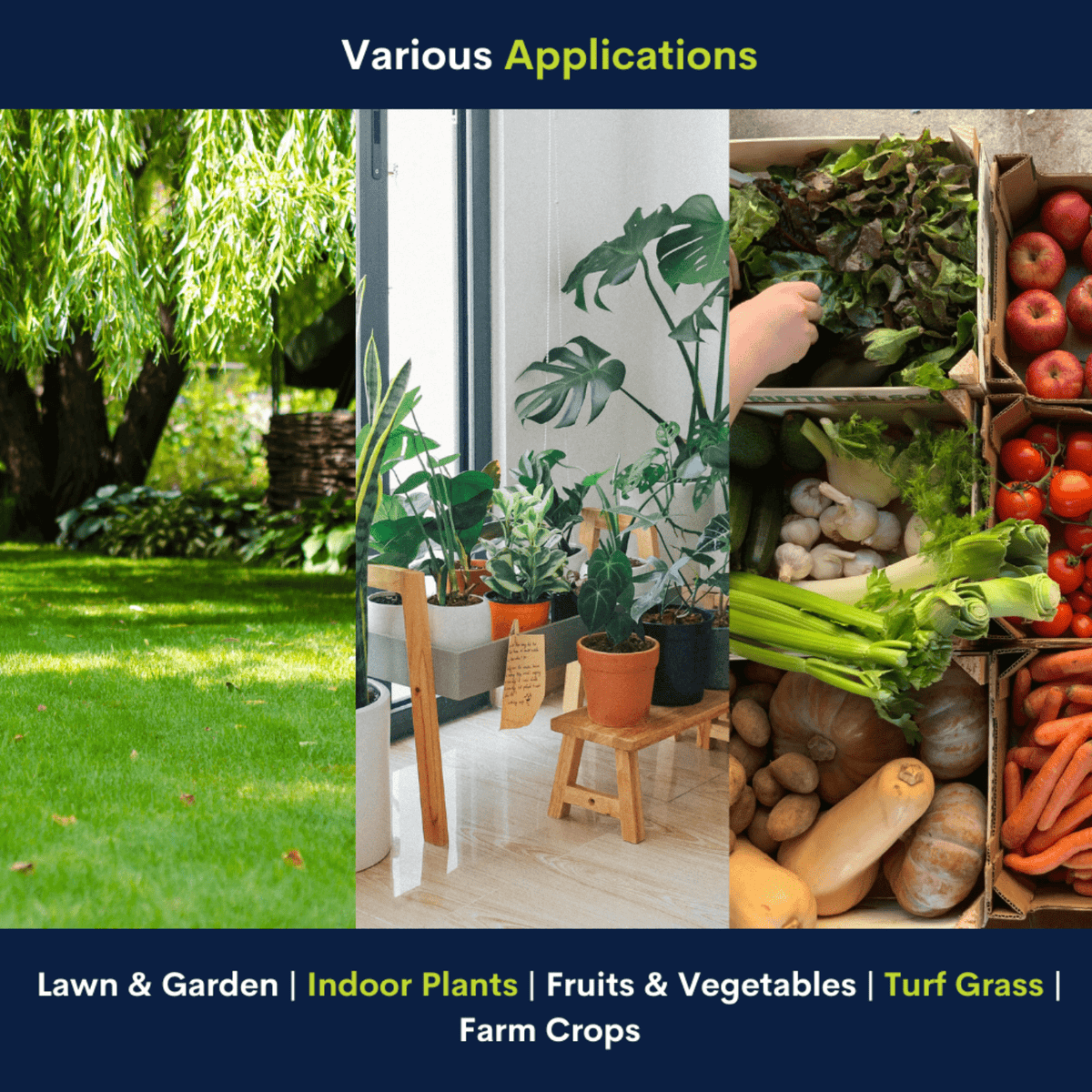 Supply Solutions 10-10-10 Complete Lawn & Garden Granular Fertilizer with Micronutrients – Balanced NPK Plant Food for Soil Health, Blooms & Roots – Safe for Vegetables, Fruits, Lawns