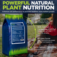 GardenGuard Prilled Lime for Lawns and Gardens - Agricultural Limestone for Soil pH Balance, Granular Lawn Lime for Grass and Plants
