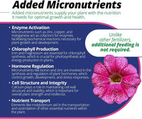 Jack's Classic 20-6-22 Petunia Feed Water-Soluble Fertilizer with Micronutrients to Provide Lush Green Annuals (4lbs)