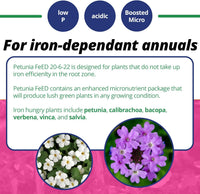 Jack's Classic 20-6-22 Petunia Feed Water-Soluble Fertilizer with Micronutrients to Provide Lush Green Annuals (4lbs)