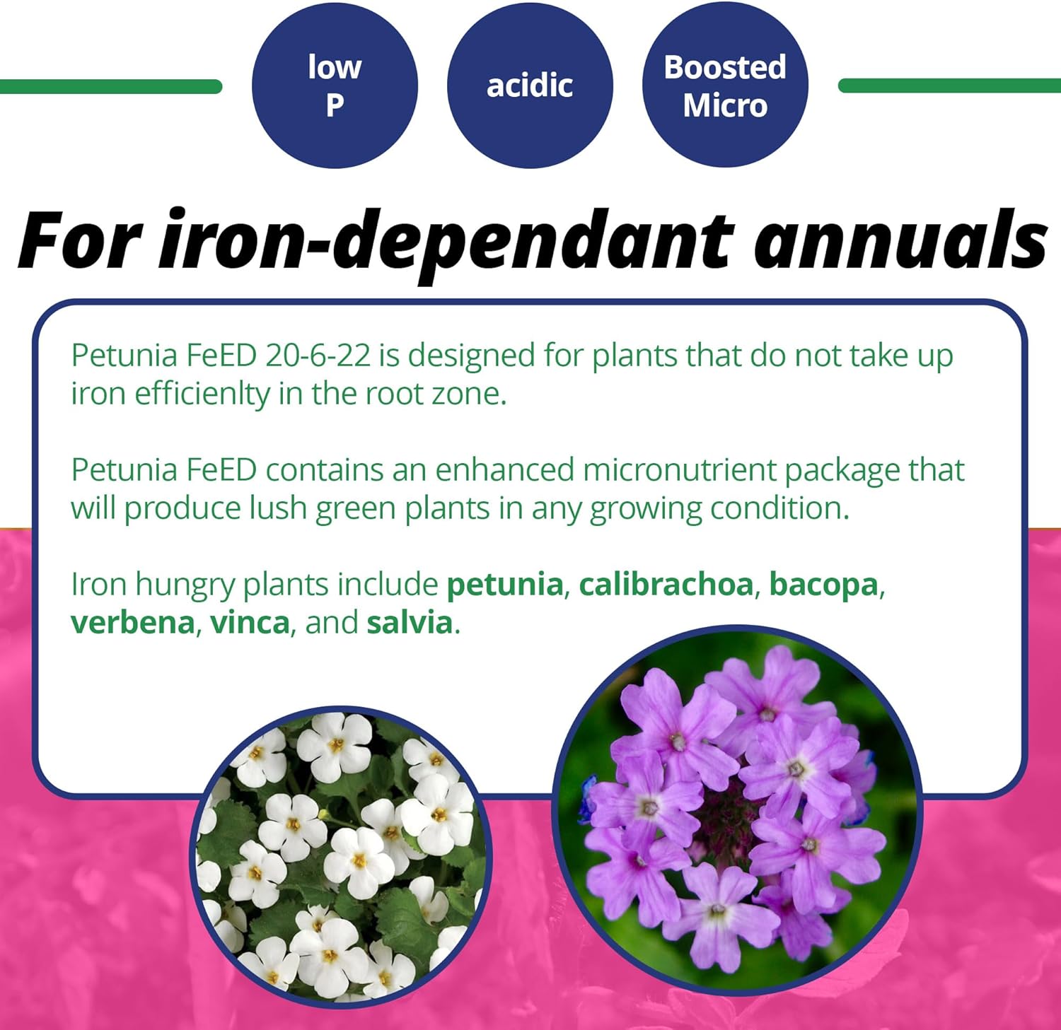 Jack's Classic 20-6-22 Petunia Feed Water-Soluble Fertilizer with Micronutrients to Provide Lush Green Annuals (4lbs)