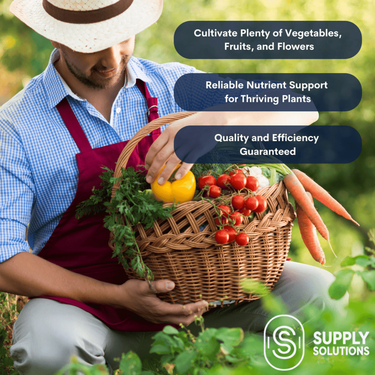 Supply Solutions 10-10-10 Complete Lawn & Garden Granular Fertilizer with Micronutrients – Balanced NPK Plant Food for Soil Health, Blooms & Roots – Safe for Vegetables, Fruits, Lawns