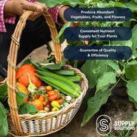 Supply Solutions 16-16-16 Complete Lawn & Garden All Purpose Granular Fertilizer - The Ultimate Plant Food for Lush Greenery & Vibrant Blooms - for All Plants, Vegetables, Fruits, and Berries