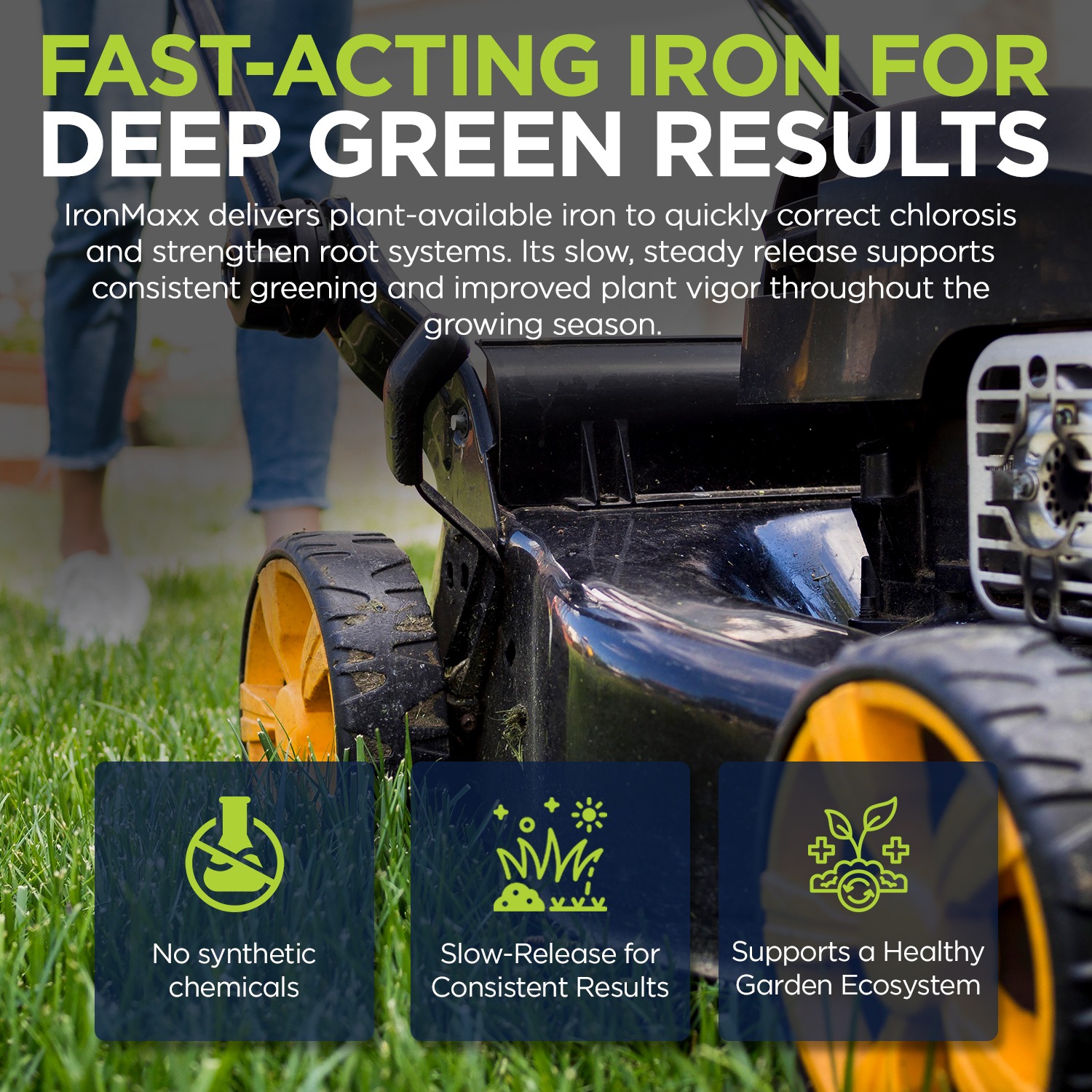 IronMaxx Granular Fertilizer - All Purpose Plant Food with Iron and Sulfur, Slow Release Garden Fertilizer for Lawn, Vegetables, Flowers & Trees, Outdoor Plant Fertilizer - Image 4